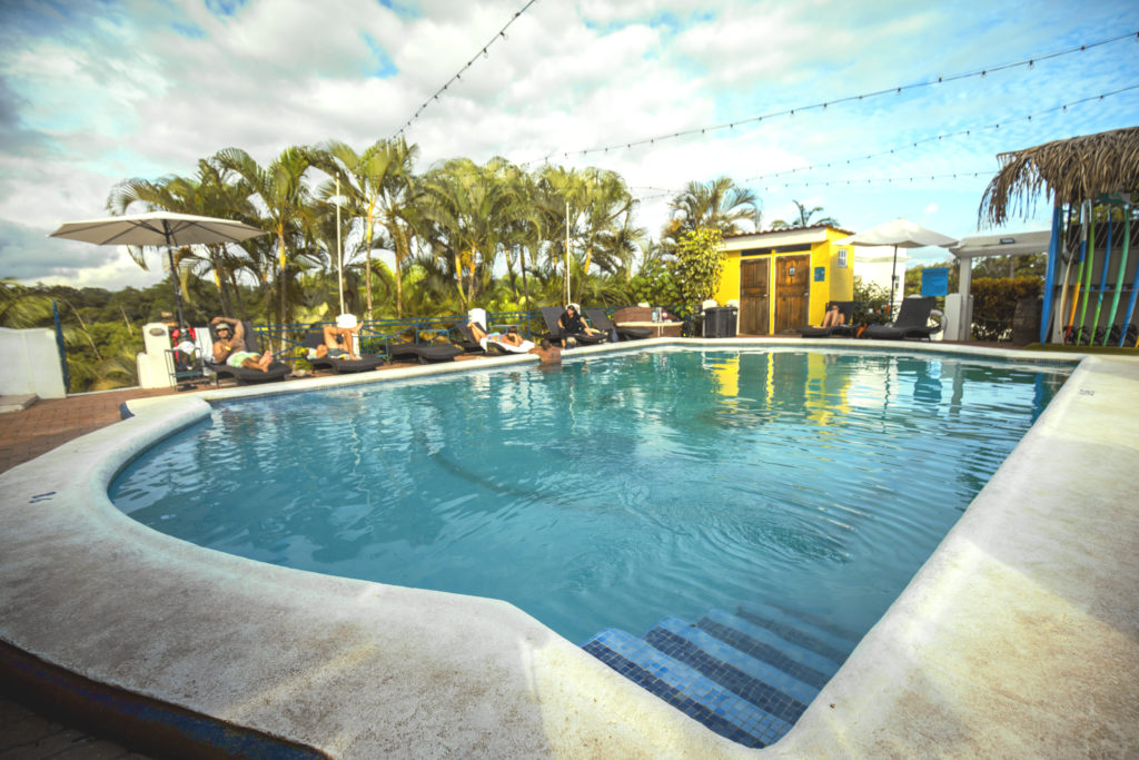 swimming pool with palm trees in background at Selina Hostel