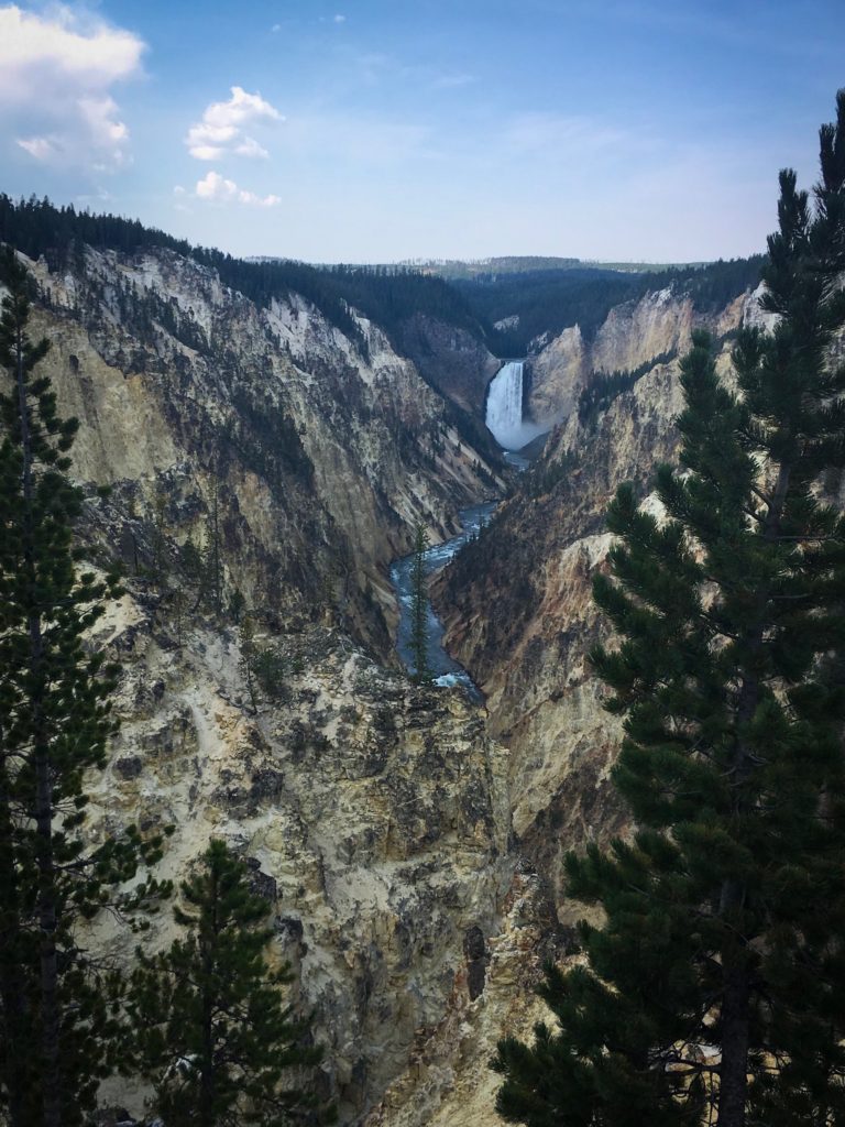 Yellowstone waterfall in background.