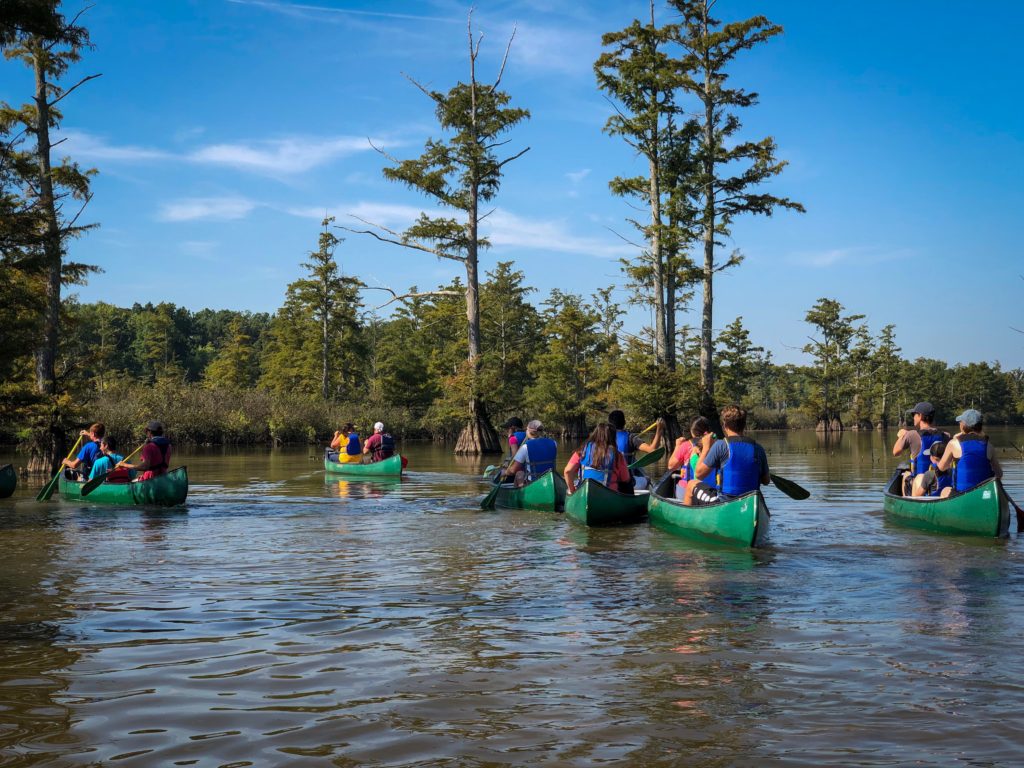 Teacher travel on a canoeing field trip with students. Six canoes with students paddle down the river.