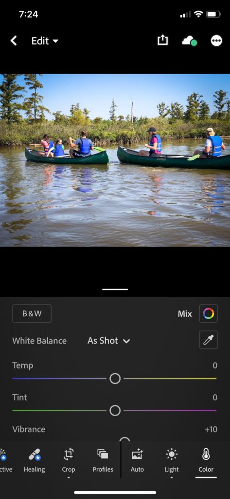 Screen shot of Adobe Lightroom photo editing app.