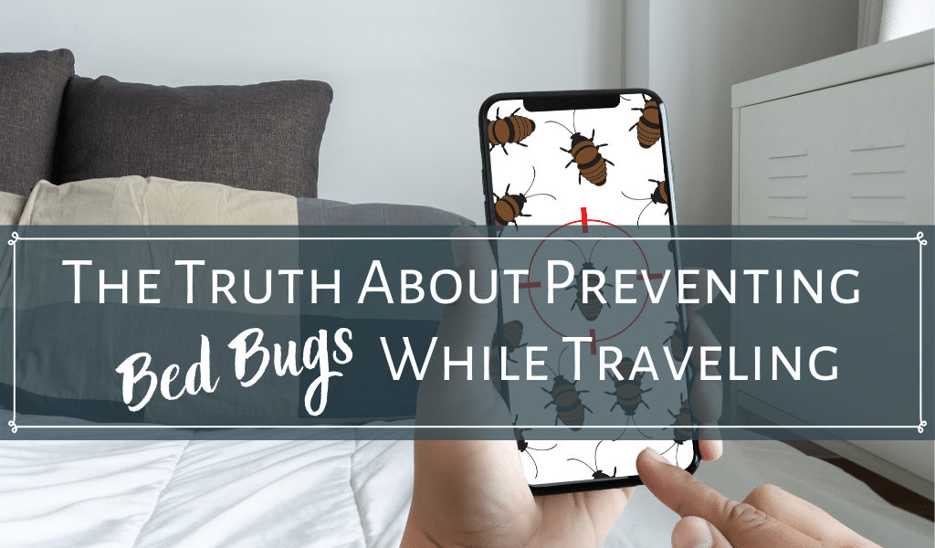 Achternaam Zonder twijfel Buitenlander The Truth About Preventing Bed Bugs While Traveling - Teacher on a Trip