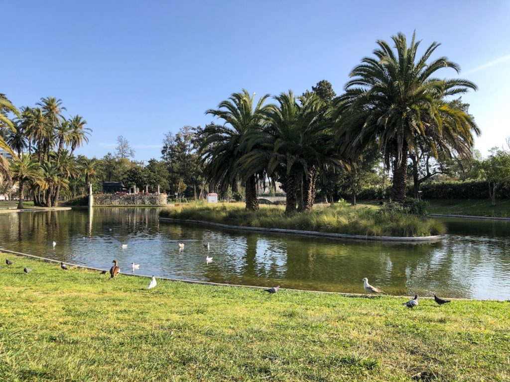 A walk through the park during our unexpected spring break stop in Portugal.