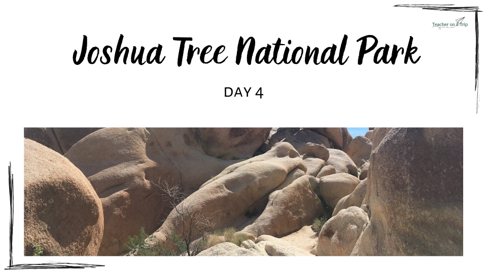 Joshua Tree National Park - Distance Learning Day 4